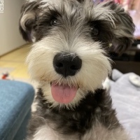 ポポちゃん