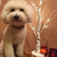 ボニーちゃん