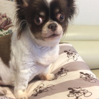 凛ちゃん
