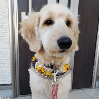 えるくん