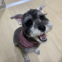 クッキーちゃん