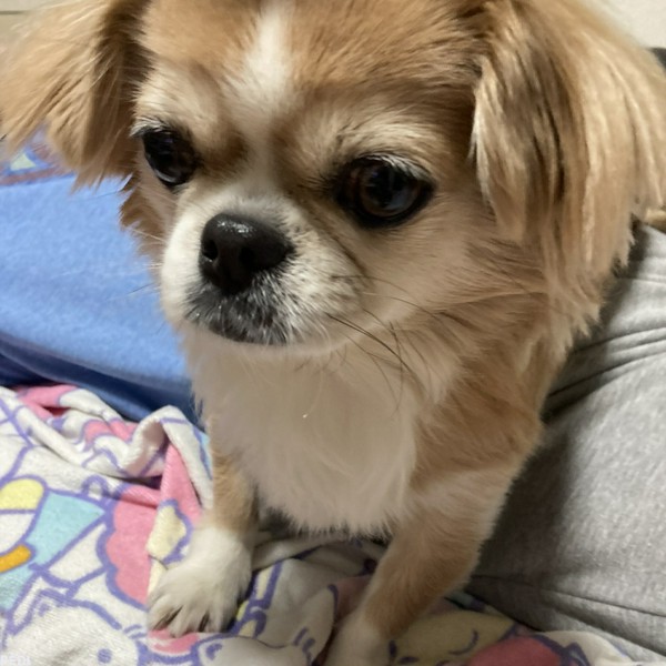 みーちゃん