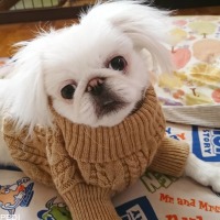 むうちゃん