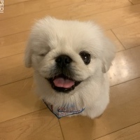 もんたろうくん