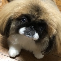 メルちゃん