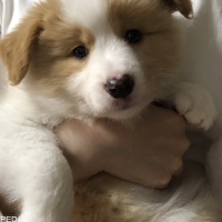 うめちゃん