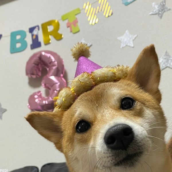 モコちゃん