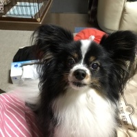 ミッキーくん