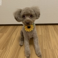 そうくん
