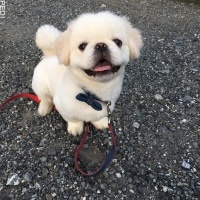 レオンくん