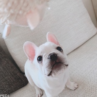 ららちゃん