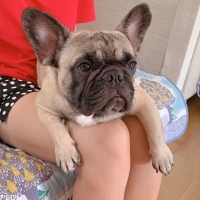 ちくわくん