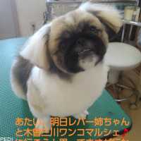 みすじちゃん