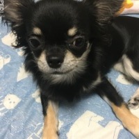 たらこちゃん