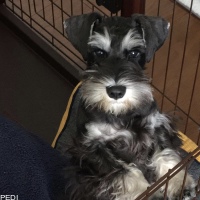そーるくん