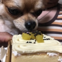 虎徹くん