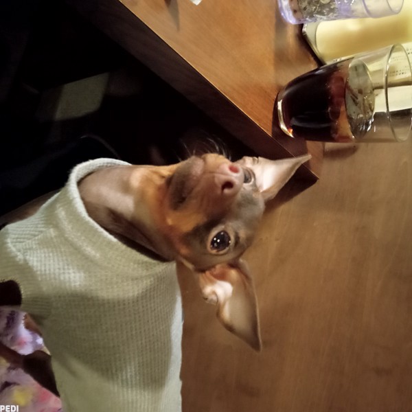 ゆづきくん