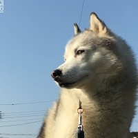 JAKEくん