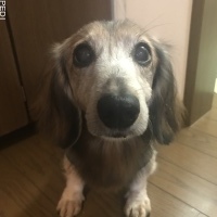 ミントくん