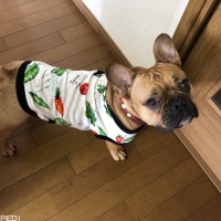 ブン太くん
