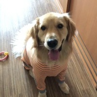 なおくん
