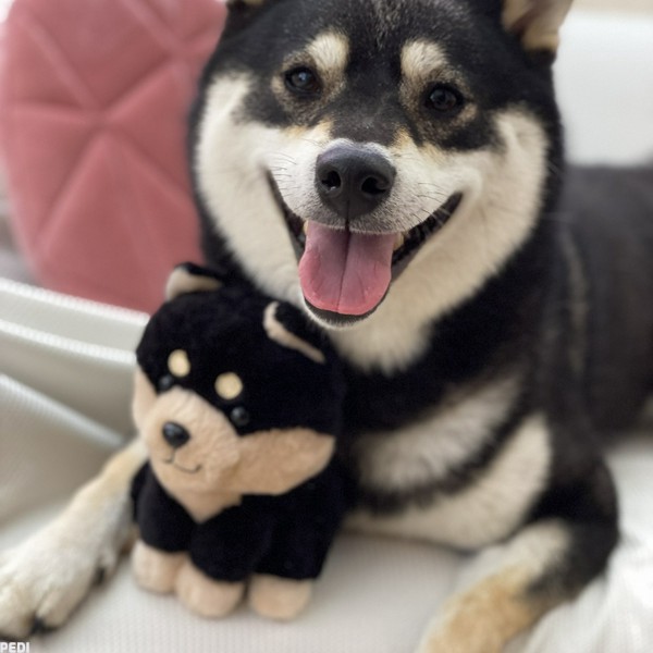 うたくん