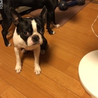 あきなちゃん
