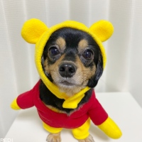 めいちゃん