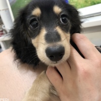 すずちゃん