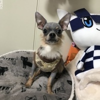 拓真くん
