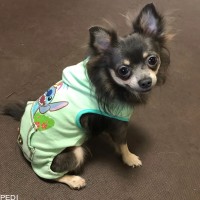 海斗くん