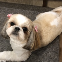 シェリーメイちゃん