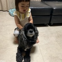 くうくん