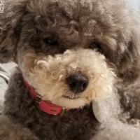 みかんちゃん