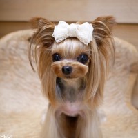 音彩ちゃん