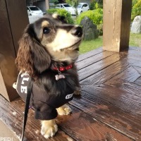 ノアちゃん