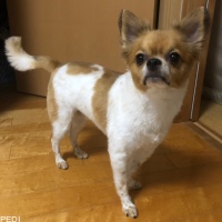 そらくん