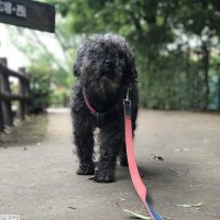 ちゅらくん
