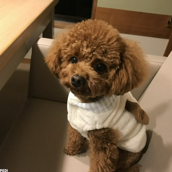 キキくん