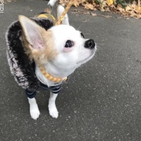 武蔵くん