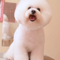 とめ子ちゃん