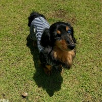 もんじろうくん