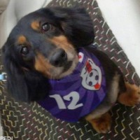 くまごろうくん