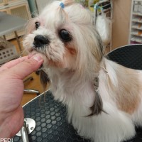 ねおんちゃん