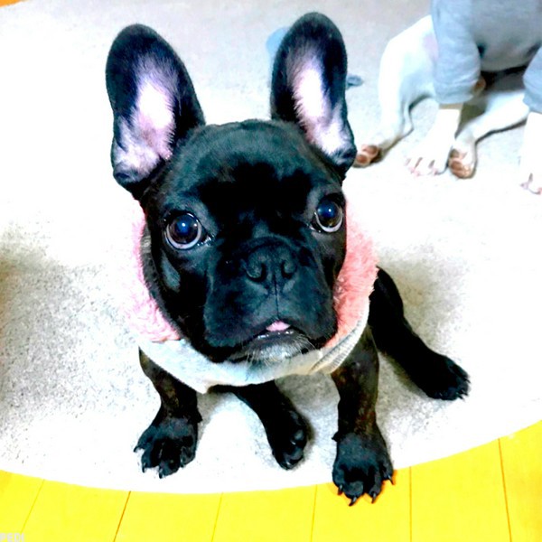 幸ちゃん
