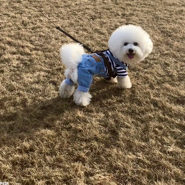 ちゃちゃまるくん
