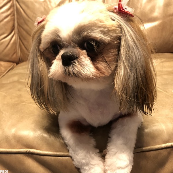 デールちゃん