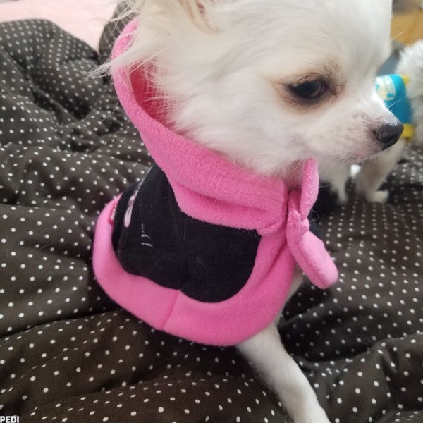 リリちゃん