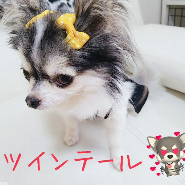 レイちゃん