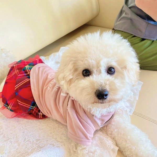 芽依ちゃん